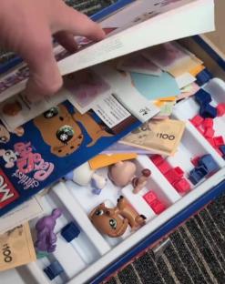 Four pet game pieces in a board game box.