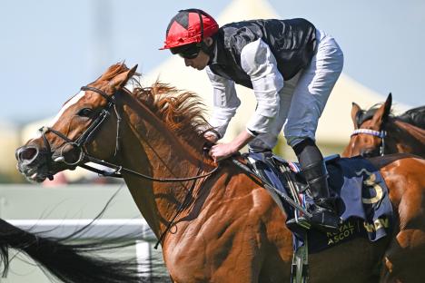 Aidan O’Brien superstar a hugely worrying drifter for Royal Ascot as stablemate is absolutely smashed in