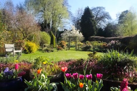 Sunny spring garden with tulips, hyacinths, and a bench.