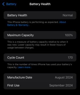 iPhone battery health report: 100% maximum capacity, 170 cycle count.