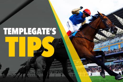 Horse racing tips: ‘She won’t be caught quick out the gate’ – Templegate’s 7-2 NAP