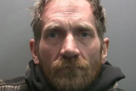 Sycamore Gap thug ‘chopped down famous tree in bitter revenge battle after facing eviction from ramshackle home’