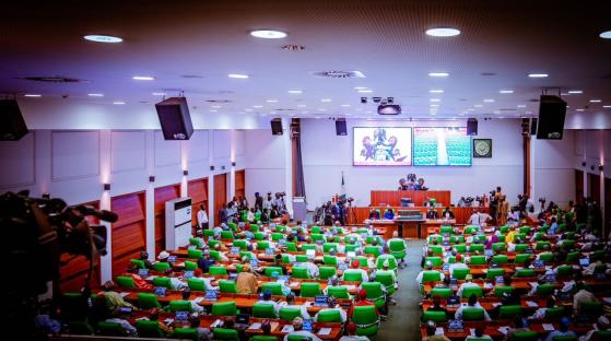 Reps summon Education Minister, Foreign Affairs, others over alleged certificate racketeering